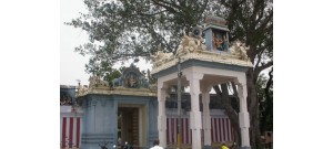 17.செல்வ விநாயகர் (சேண்பாக்கம்) - தமிழ்நாடு